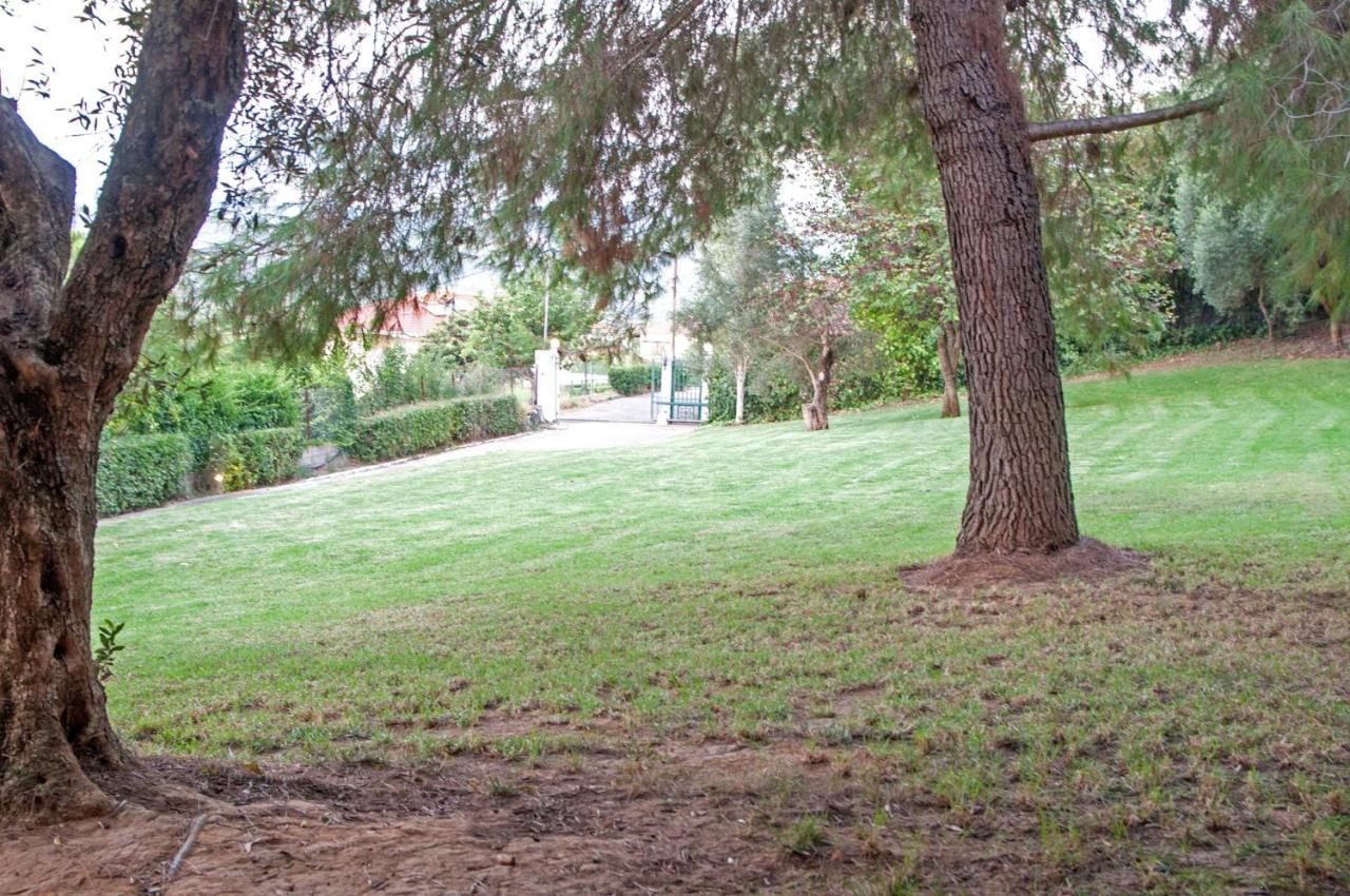 Oasis Olympia Apartments Smila Exterior photo